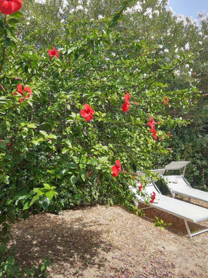 -Exclusive Private Villa- Villasimius Εξωτερικό φωτογραφία