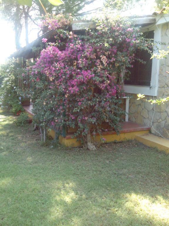 -Exclusive Private Villa- Villasimius Εξωτερικό φωτογραφία